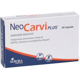 Aurora Biofarma Neocarvi Plus 30 Capsule