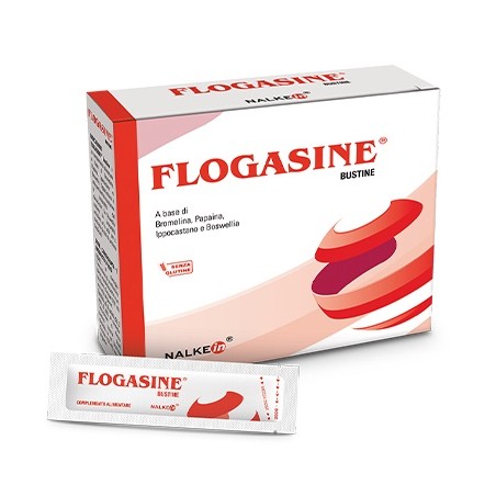 Nalkein Pharma Flogasine 20 Bustine