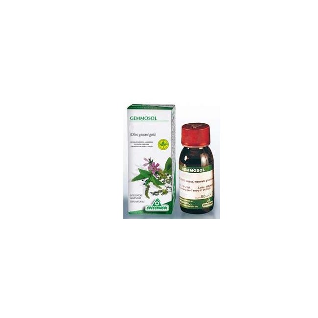Specchiasol Gemmosol 28 Olivo 50ml Specchiasol Gemmosol 28 Olivo 50ml