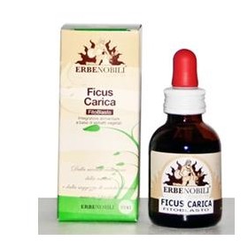 Erbenobili Fitoblasto Ficus Carica 50 Ml