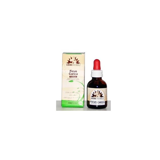 Erbenobili Fitoblasto Ficus Carica 50 Ml Erbenobili Fitoblasto Ficus Carica 50 Ml