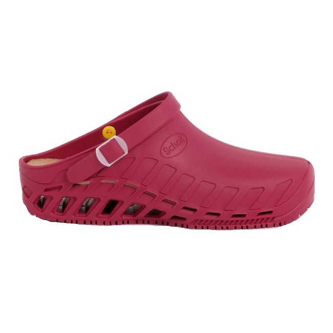 Scholl Clog Evo Tpr Unisex Wine 45/46