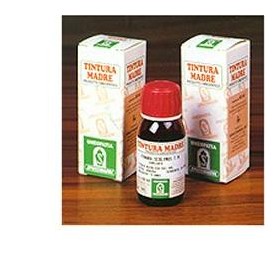 Specchiasol Pilosella 20 50ml Tm