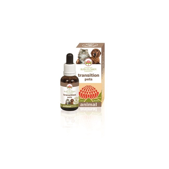 Australian Bush Flower Essences Transition Pets 30 Ml Australian Bush Flower Essences Transition Pets 30 Ml