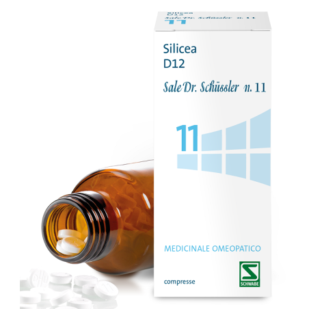Schwabe Pharma Sale Dr Schussler N.11 Sil 200