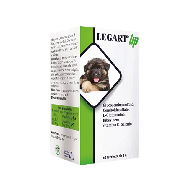 Ddfarma Legart Up 60 Compresse Da 1 G Ddfarma Legart Up 60 Compresse Da 1 G