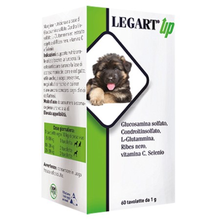Ddfarma Legart Up 60 Compresse Da 1 G Ddfarma Legart Up 60 Compresse Da 1 G