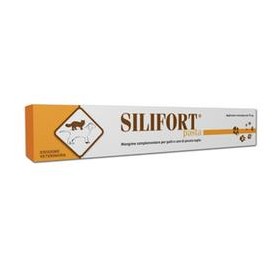 Silifort pasta os siringa 15 g