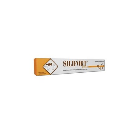 Silifort pasta os siringa 15 g Silifort pasta os siringa 15 g