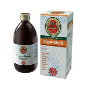 VIGOR-MECH 500ML GNM