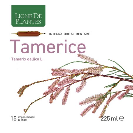 Natura Service Tamerice 15 Ampolle 15 Ml Natura Service Tamerice 15 Ampolle 15 Ml