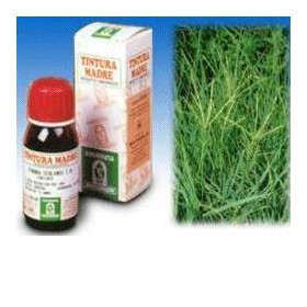 Specchiasol Gramigna 37 50ml Tm