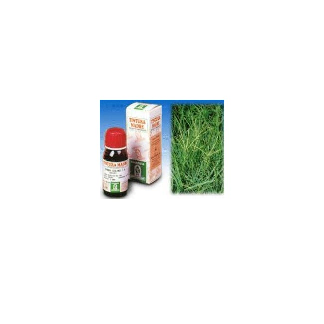 Specchiasol Gramigna 37 50ml Tm