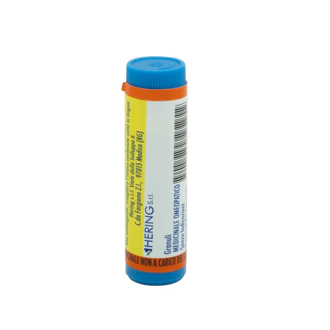 Hering Calcarea Carbonica 10000k Gl Hering Calcarea Carbonica 10000k Gl