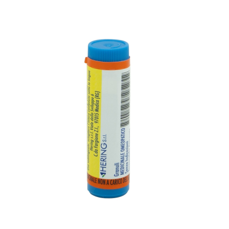 Hering Calcarea Carbonica 10000k Gl