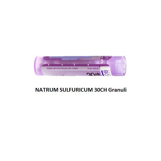 Boiron Natrum Sulf Boi 30ch Gr 4g Boiron Natrum Sulf Boi 30ch Gr 4g