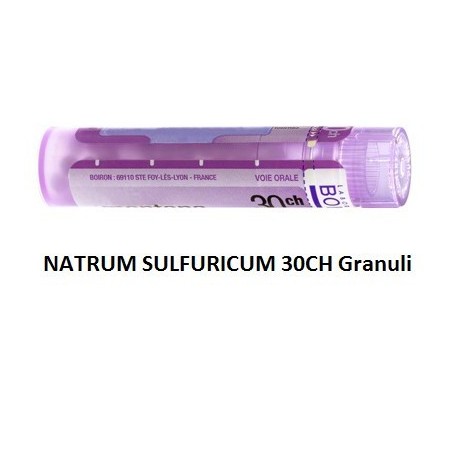 Boiron Natrum Sulf Boi 30ch Gr 4g Boiron Natrum Sulf Boi 30ch Gr 4g