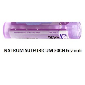 Boiron Natrum Sulf Boi 30ch Gr 4g Boiron Natrum Sulf Boi 30ch Gr 4g