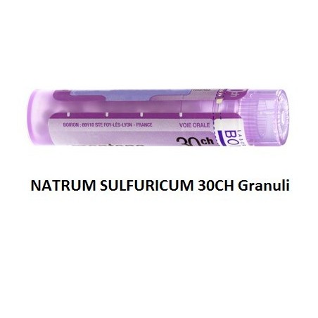 Boiron Natrum Sulf Boi 30ch Gr 4g Boiron Natrum Sulf Boi 30ch Gr 4g