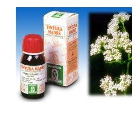 Specchiasol Valeriana 36 Tintura Madre 50 Ml