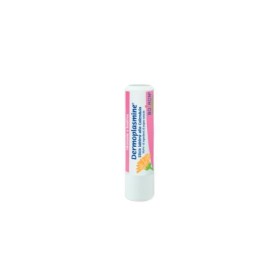Boiron Dermoplasmine Stick Labbra Idratante Alla Calendula 4 G Boiron Dermoplasmine Stick Labbra Idratante Alla Calendula 4 G