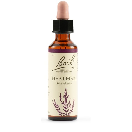 Schwabe Pharma Heather Bach Orig 20 Ml