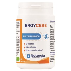 Laboratoire Nutergia Ergycebe 90 Capsule