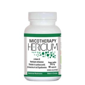 A.v.d. Reform Micotherapy Hericium 90 Capsule