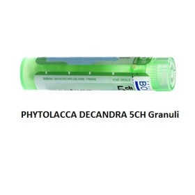 Boiron Phytolacca De Boi 5ch Gr 4g