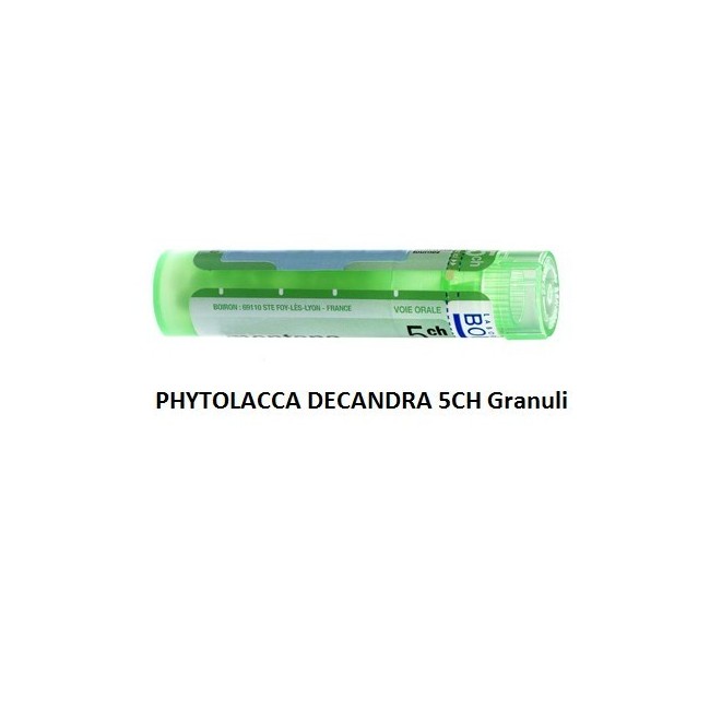Boiron Phytolacca De Boi 5ch Gr 4g