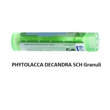 Boiron Phytolacca De Boi 5ch Gr 4g