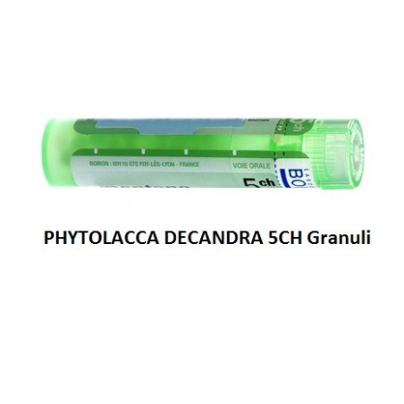 Boiron Phytolacca De Boi 5ch Gr 4g