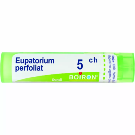 Boiron Eupatorium P Boi 5ch Gr 4g