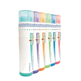 Boiron China Regia Boi 15ch Gr 4g