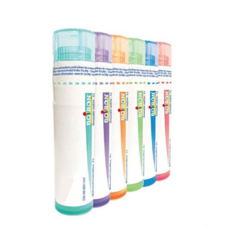 Boiron China Regia Boi 15ch Gr 4g