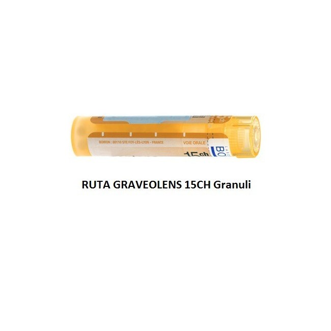 Boiron Ruta Grav Boi 15ch Gr 4g