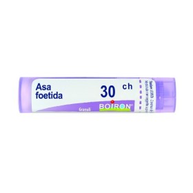 Boiron Asa Foetida Boi 30ch Gr 4g