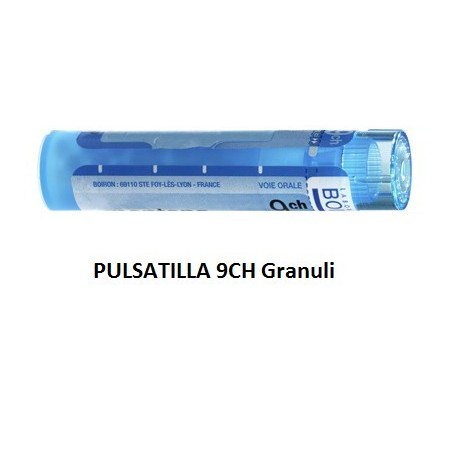 Boiron Pulsatilla Boi 9ch Gr 4g