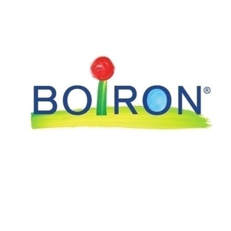 Boiron Natrum Sulf Boi 10000k Gl 1g