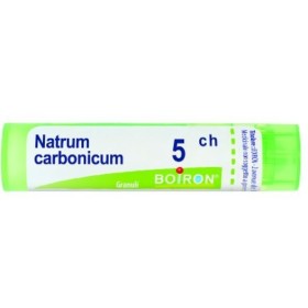 Boiron Natrum Carb Boi 5ch Gr 4g