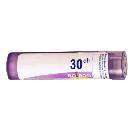 Boiron Magnesia Mur Boi 30ch Gr 4g