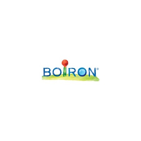 Boiron Arsenicum Alb Boi 200ch Gl 1g