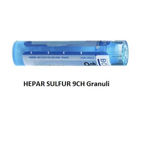 Boiron Hepar Sulfur Boi 9ch Gr 4g