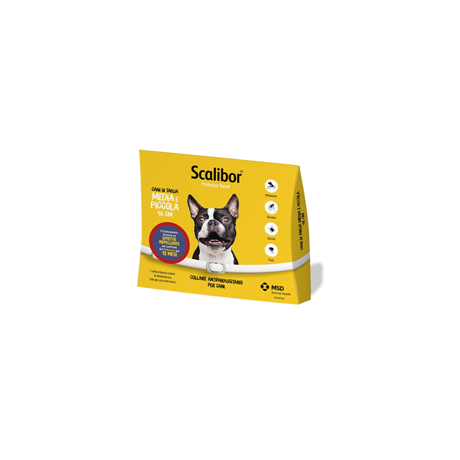 Msd Animal Health Scalibor Protectorband 0,760 G Collare Medicato Per Cani Msd Animal Health Scalibor Protectorband 0,760 G Collare Medicato Per Cani