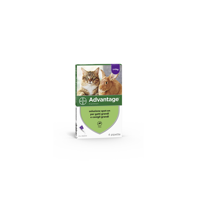 Elanco Advantage 80 Mg Soluzione Spot-on Per Gatti Grandi E Conigli Grandi
