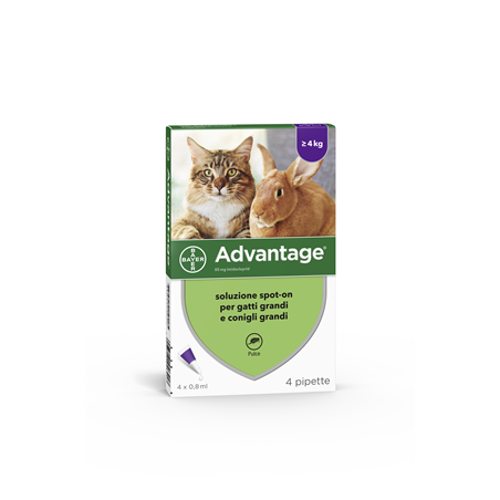 Elanco Advantage 80 Mg Soluzione Spot-on Per Gatti Grandi E Conigli Grandi Elanco Advantage 80 Mg Soluzione Spot-on Per Gatti Grandi E Conigli Grandi