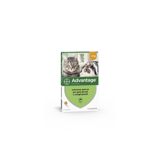 Elanco Advantage 40 Mg Soluzione Spot-on Per Gatti Piccoli E Conigli Piccoli