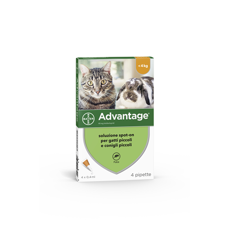 Elanco Advantage 40 Mg Soluzione Spot-on Per Gatti Piccoli E Conigli Piccoli