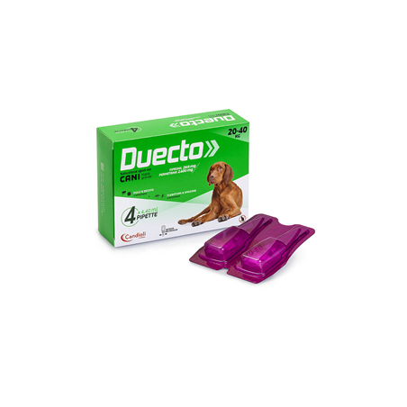 Alfamed S.a. Duecto Alfamed S.a. Duecto