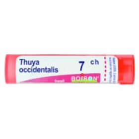 Boiron Thuya Occ 7ch Gl 1g